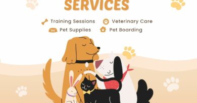 DeePet Services, pet care Delhi NCR, at-home pet care, affordable vet home visit, dog walking Delhi, cat grooming at home, pet grooming Delhi NCR, pet training Delhi, veterinary services at home, ₹499